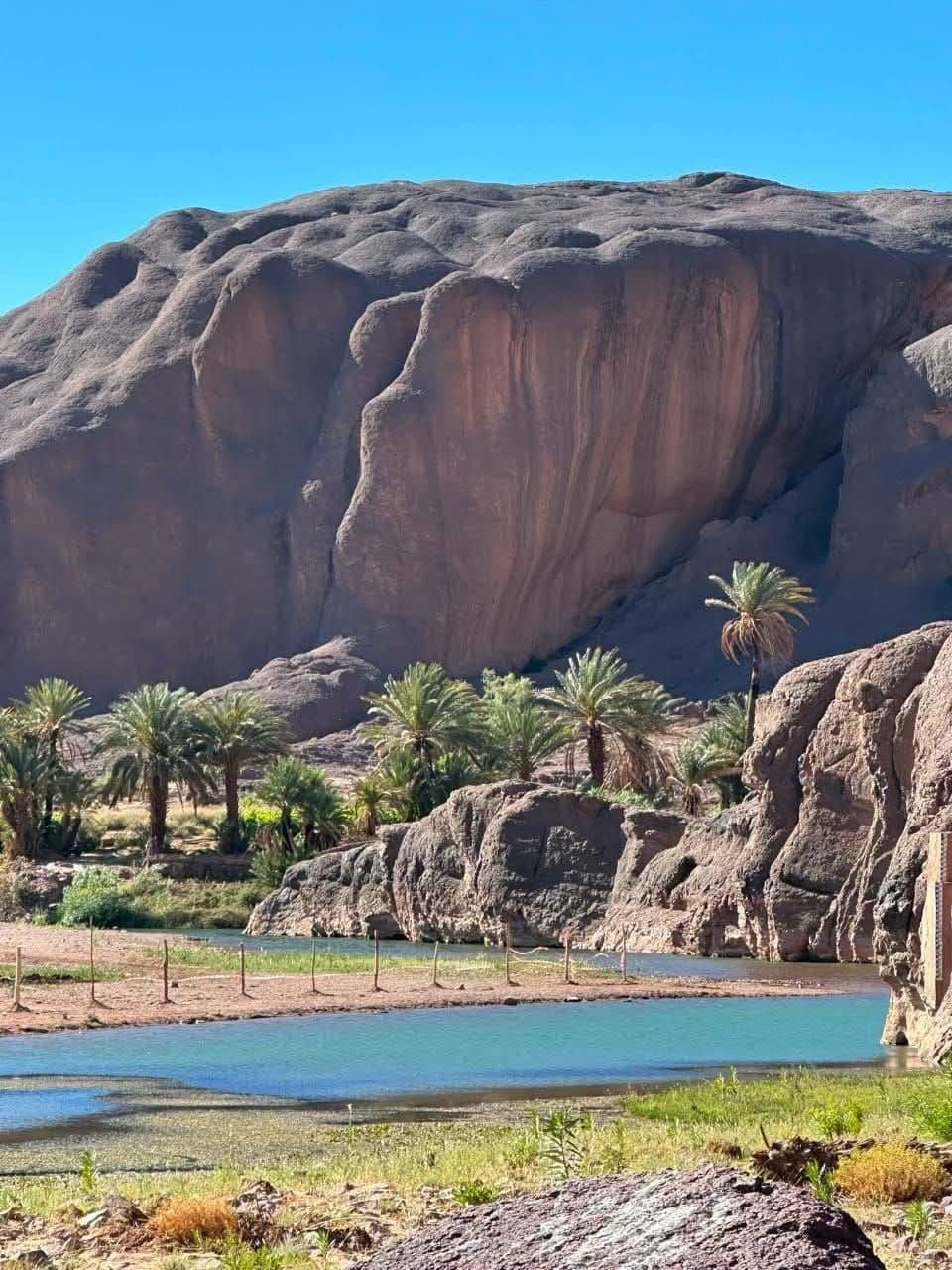 Oasis de Fint
